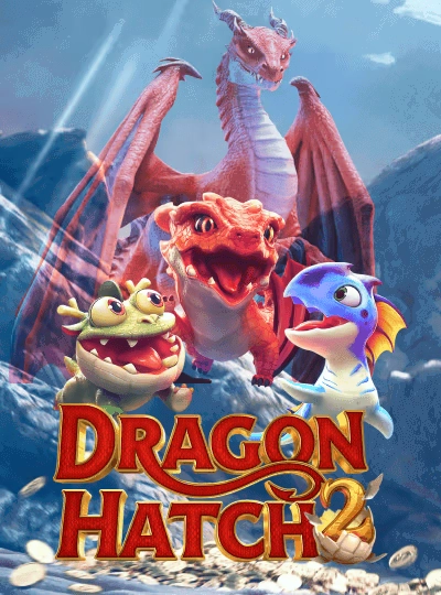 qq23